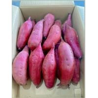 ราคา มันญี่ปุ่นเบนิฮารุกะแท้ 1Kg หวานฉ่ำ อร่อย sweet potato (22978980255)