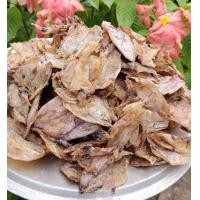 ราคา ปลาหมึกแก้ว ปลาหมึกแห้ง500กรัม ราคาถูก ตรงปก ปลาหมึก เนื้อนุ่ม ปลาหมึกแก้วอร่อย (22432216625)