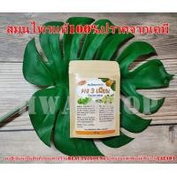 ราคา ผง3เนียน ผงสามเนียน ผงพอกหน้าสมุนไพรไทย ผงมาส์กหน้า สมุนไพรไทย (17440079644)