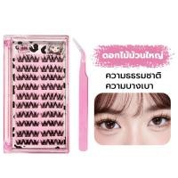ราคา Sweet ขนตาปลอม ให้กาวและคีม ต่อขนตาธรรมชาติ ติดทน เหมาะสำหรับมือใหม่ ขนตาปลอมแบบจับช่อ false eyelashes ชุดต่อขนตาด้วยตัวเอง (23168476605)
