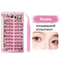 ราคา Sweet ขนตาปลอม ให้กาวและคีม ต่อขนตาธรรมชาติ ติดทน เหมาะสำหรับมือใหม่ ขนตาปลอมแบบจับช่อ false eyelashes ชุดต่อขนตาด้วยตัวเอง (23168476602)