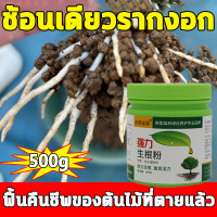 ราคา ผงเร่งราก ผงเร่งรากพืช 500 กรัม สารเร่งรากชนิดผง ผงเร่งการแตกราก น้ำยาเร่งราก ยาเร่งราก เร่งราก อุดมไปด้วยธาตุจำนวนมาก ส่งเสริมกา เจริญเติบโตของรากพืช แก้ปัญหาเช่นรากเน่า สารเร่งราก สารเร่งรากพืช ผงเร