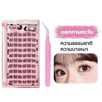 ราคา Sweet ขนตาปลอม ให้กาวและคีม ต่อขนตาธรรมชาติ ติดทน เหมาะสำหรับมือใหม่ ขนตาปลอมแบบจับช่อ false eyelashes ชุดต่อขนตาด้วยตัวเอง (23168476603)