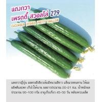 ราคา เมล็ดพันธุ์ แตงกวาญี่ปุ่น แตงกวา สายพันธุ์ เพรตตี้ สวอลโล่ 279 Cucumber Hybrid Pretty Swallow ตราดอกแตง (22058179250)