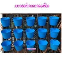 ราคา SET ชุดกระถางแขวนผนังแขวนกระถางต้นไม้ ตกแต่งสวน สำหรับตกแต่งบ้าน ให้สวยงาม (14511395687)