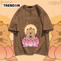 ราคา TrendSir พร้อมส่งเสื้อยืด เสื้อยืดแขนสั้น Capybara โอเวอร์ไซส์100 Cotton 9สี M 3XL (22311704246)