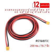 ราคา 2 3M ตัวแปลง XT60 12AWG ตัวผู้ ตัวเมียปลั๊กต่อ kabel sambungan ซิลิโคนขั้วต่อแบตเตอรี่สายไฟตะกั่วสำหรับรถยนต์พลังงานอัตโนมัติ (23206877012)