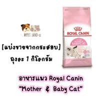 ราคา แบ่งขายจากกระสอบ อาหารแมว Royal Canin MOTHER BABY CAT ถุงละ 1 กิโลกรัม (15143096164)