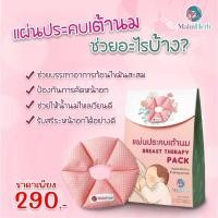 ราคา แผ่นประคบเต้านม (20572313388)