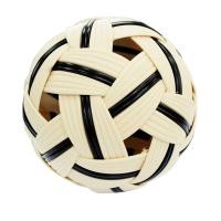 ราคา FBT ตะกร้อรุ่นแข่งขัน รุ่น TKB 9000 รหัส 70311 (1388190488)