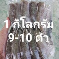 ราคา ปลาสลิดแดดเดียว 1 กิโลกรัม 9 10 ตัว แพ็คสูญญากาศ (15972293527)