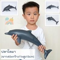 ราคา COD โมเดลสัตว์ทะเลตัวใหญ่ พร้อมส่ง ไซส์จัมโบ้ ไม่บาดมือ ขนาดใหญ่ โมเดลสัตว์ทะเล โมเดลปลาฉลาม โมเดลวาฬ Marine Animal (19189992614)