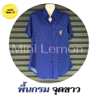 ราคา เสื้อเชิ๊ต ลายจุด ผ้าไหมอิตาลี รอบอก 42 44 46 48 50 แขนสั้น เสื้อคอปก เสื้อเชิ๊ตคนแก่ เสื้อผู้ใหญ่ เสื้อคุณแม่ เสื้อเชิ๊ตผู้ใหญ่ Mini lemon (15117213641)