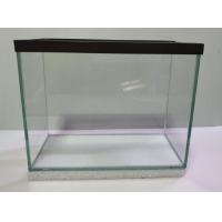 ราคา โหลปลา โหลปลากัด ขนาด 4x8x6 นิ้ว พร้อมฝาตะแกรง (1971878145)