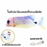 ราคา ตุ๊กตาปลาแคทนิป ปลาดุ๊กดิ๊ก ของเล่นแมว (19602660472)