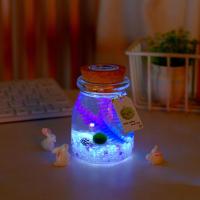 ราคา M Ting มาริโมะ เซ็ตมาริโมะโหลกลม ชุดพร้อมเลี้ยงมาริโมะ marimo มอสบอล ชุดพร้อมเลี้ยงมาริโมะแท้ (22427161391)