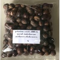 ราคา ลูกจันทน์เทศ กลม 1000กรัม (18981164319)