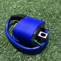 ราคา คอยล์ไฟซิ่ง คอยล์หัวเทียนแต่ง RG ใส่ได้ทุกรุ่น สำหรับรถคาร์บูและหัวฉีด (23294343342)