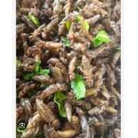 ราคา จิ้งหรีดทอด สะดิ้งทอด หนอนไหมทอด แมงกระชอนทอด จิชอน ทอดตามออเดอร์ สด ใหม่ สะอาด น้ำหนักก่อนทอด500และ1000กรัม (23269790856)