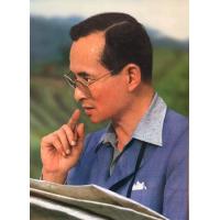 ราคา ภาพสีเคลือบมันอย่างดี รัชกาลที่ 9 ขนาดภาพ15X20 นิ้ว ม้วนใส่กระบอกอย่างดีส่งไม่ยับ (7677655956)