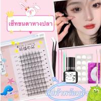 ราคา สินค้าพร้อมส่ง ชุดต่อขนตาด้วยตัวเองเซ็ทต่อขนตาถาวรชุดต่อขนตาเองชุดขนตาถาวรกาวต่อขนตาถาวรขนตาถาวรติดเองขนตาถาวร (19439150488)