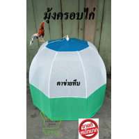 ราคา มุ้งครอบไก่ มุ้งสุ่มไก่ มุ้งเตะไก่ คละสี (18169196594)