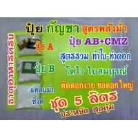 ราคา ปุ๋ยกันชา ปุ๋ยกัญ ชุด 5 ลิตร สูตรพลังม้า ปุ๋ยAB ปุ๋ยแคลเซี่ยมแม็กซิ้งค์CMZ สูตรรวมทำใบ ทำดอก ปุ๋ยแห้งผสมเอง ประหยัดกว่า สุดคุ้ม (18277020032)