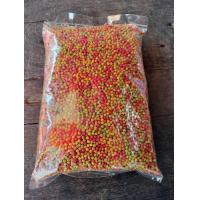 ราคา พร้อมส่ง ซูพรีมไซส์ M อาหารนกกรงหัวจุก แบ่งขาย (22167506372)