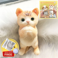 ราคา CB0834 ทาบะสกุชชี่ จัมโบ้ taba squishy Jumbo ฮาบะสกุชชี่ ทาบะใหญ่ สุดๆ เล่นฟิน (23324031946)