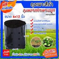 ราคา ถุงเพาะชำ ขนาด 6x12 นิ้ว 3กิโลกรัม ถุงเพาะกล้า ตรานกเงือก ถุงเพาะเมล็ด ถุงปลูก ถุงชำไม้ ถุงดำปลูกต้นไม้ (518178519)