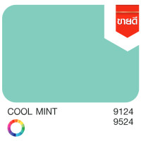 ราคา Nippon paint Junior 99 Interior Matt สีน้ำ นิปปอน จูเนียร์ 99 ภายใน ด้าน ขนาด แกลลอน 3 5 ลิตร (18516087906)