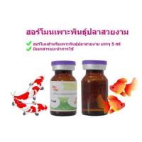 ราคา ฮอร์โมนเพาะพันธุ์ปลาคราฟ ขนาด 5 ml ฮอร์โมนเพาะพันธุ์ปลาทอง ฮอร์โมนเพาะพันธุ์ปลาสวยงาม ฮอร์โมนเพาะพันธุ์สัตว์น้ำ สำหรับเพาะพันธุ์ปลา (18857535339)