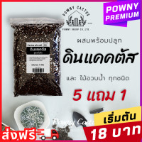 ราคา ดินแคคตัส ดินปลูกแคคตัส ดินพร้อมปลูก ดินปลูกกระบองเพชร ดินปลูกไม้อวบน้ำ ดินผสมสำเร็จ สูตรโปร่งพิเศษ รากเดินดี ดินปลูกแคตตัส (19770544897)