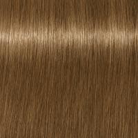 ราคา ไม่รวมไฮ Schwarzkopf Igora Royal Absolutes 60ml ปิดผมขาว สีสวย ไม่มืด (21427589845)