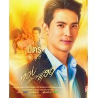 ราคา ละครไทย ทองประกายแสด DVD 5 แผ่น (23126649077)