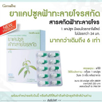 ราคา ส่งฟรี ฟ้าทะลายโจรสกัด กิฟฟารีน ยาแผนโบราณ ยาสามัญประจำบ้าน ฟ้าทะลายโจรผง ฟ้าทะลายโจรสกัด onlinebyae (9366597798)