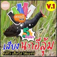 ราคา เสียงต่อนกอีลุ้ม นกตูม นกตุ้ม เมมเสียงนกอีลุ้ม แฟลชไดร์ฟเสียงต่อนกอีลุ้ม มีเก็บเงินปลายทาง (10038724994)