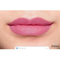 ราคา ลิปสติก Revlon Super Lustrous The Luscious Mattes Lipstick สี 004 WILD THOUGHTS รุ่นใหม่ (23000359728)