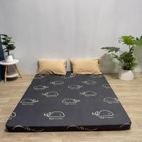 ราคา ปลอกที่นอนปิคนิค เฉพาะปลอกสวม ขนาด 3 5ฟุต 5ฟุต และ6ฟุต ใส่ได้เฉพาะที่นอนปิคนิคใยสังเคราะห์เท่านั้น มาพร้อมลายการ์ตูนสุดน่ารัก (22789368071)