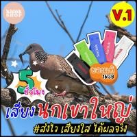ราคา เสียงต่อนกเขาใหญ่ เมมเสียงนกเขาใหญ่ แฟลชไดร์ฟเสียงต่อนกเขาใหญ่ มีเก็บเงินปลายทาง (10046840596)