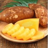 ราคา BB สดจากสวน บัวหิมะ Yacon 5กิโลกรัม บัวหิมะ บัวหิมะสด บัวหิมะจากดอยอ่างขาง บัวหิมะปลอดสารพิษ บัวหิมะสดๆจากสวน บัวหิมะพร้อมทาน ผลไม้เมืองหนาว บัวหิมะ บัวหิมะสด หวานฉ่ำ เนื้อกรอบ เจ้าของสวนมาเอง สินค้าพ