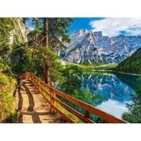 ราคา CHENISTORY Paint By Numbers Landscapes Acrylic Drawing Canvas Oil Painting By Numbers Trees And Mountains Scenery For Adults Hom (20240853229)