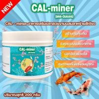ราคา อาหารเสริมปลาสวยงาม 200 G สีสวย โต มีส่วนผสมสาหร่ายสไปรูลิน่า CAL miner แคลเซียมปลาสวยงาม แร่ธาตุ (19521484818)