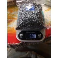 ราคา พริกไทยดำ UNCLENId พริกไทยจันท์ พริกไทยคุณภาพ พริกไทย เกรด A พริกไทยจากชาวสวน Thai Pepper ขนาด 500 กรัม (7428602780)