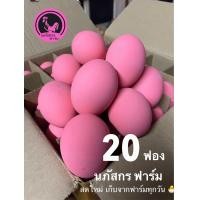 ราคา ไข่เยี่ยวม้า ปลอดสารพิษ สดใหม่ อร่อย (22223882765)
