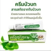 ราคา อภัยภูเบศร ครีม บัวบก หลอด 10 กรัม ABHAIBHUBEJR CENTELLA CREAM 10 Gm FOR BRUISED AND WOUND HEALING Centella asiatica (23043834474)