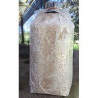 ราคา ก้อนเชื้อเห็ดกระด้างหรือเห็ดลม ชุดละ200บาท ได้5ก้อน (21403293985)