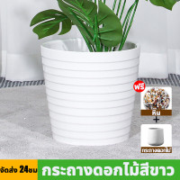 ราคา ต้นไม้ปลอม ฟรีกระถางดอกไม้ต้นไม้ หินตกแต่ง ต้นไม้ปลอมใหญ่ ต้นไม้เทียม 105cm 33ใบ ต้นไม้มงคลปลอม ความจำลอง 99 มีคุณภาพ (22932755547)