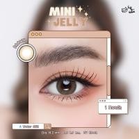 ราคา คอนแทคเลนส์ Mini Jelly Brown Gray Kitty Kawaii ขนาดมินิ ขายดี (18467090710)
