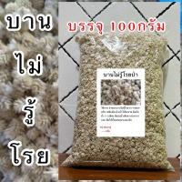 ราคา บานไม่รู้โรยป่า หญ้าดอกขาว บานไม่รู้โรยขาว บานไม่รู้โรย (22064741880)